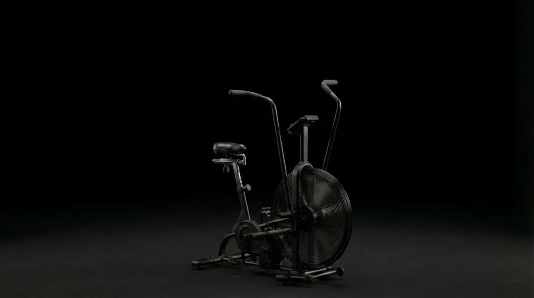 Air Bike (Assault Bike)